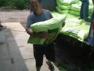 專業(yè)人工搬運(yùn)服務(wù) 安全高效，全面保障